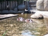 100_6073.jpg